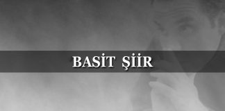 BASİT ŞİİR (YAVAŞ YAVAŞ ALIŞTIRIYORLAR)